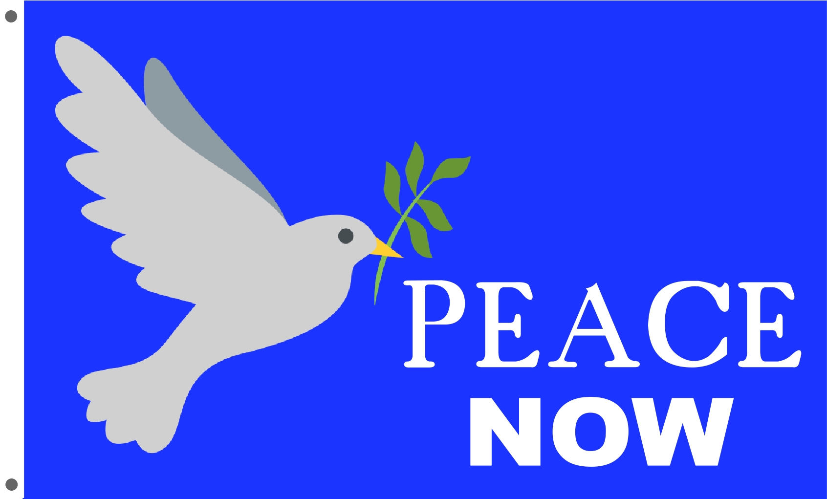 PEACE NOW 3 x 5 ft flag banner 1289