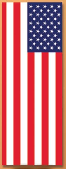 Vertical US 3 x 8 ft drape flag